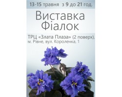 Выставка фиалок в Ровно 13-15 мая 2016